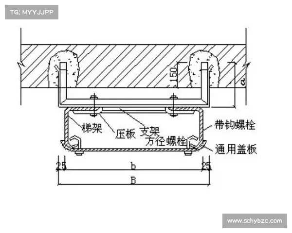 单关固定是什么意思 单关固定是什么意思