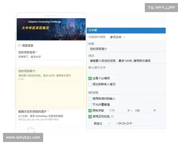 申请方赛事委员会-赛事申请方案 申请方赛事委员会-赛事申请方案